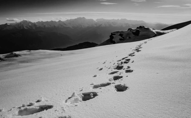 bilan-carbone-demarche-environnementale